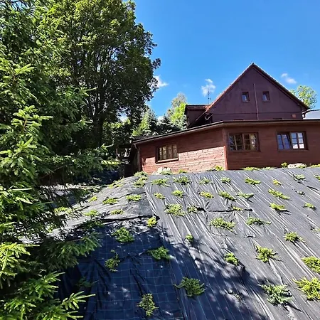 Harry Na Sjezdovce Krkonose Pensión Vysoké nad Jizerou