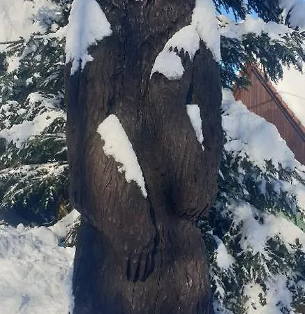 Harry Na Sjezdovce Krkonose Pensjonat Vysoké nad Jizerou