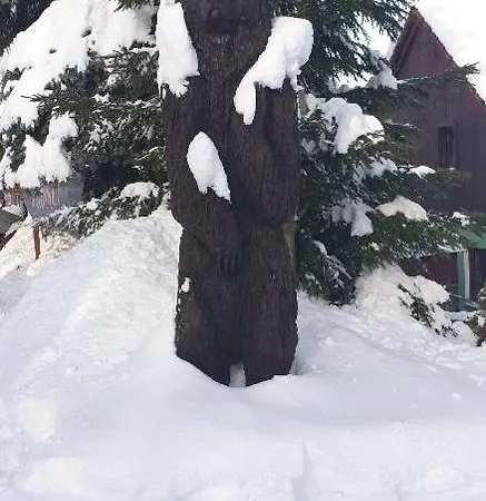 Harry Na Sjezdovce Krkonose Vysoké nad Jizerou