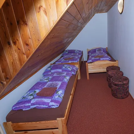 Harry Na Sjezdovce Krkonose Vysoke nad Jizerou